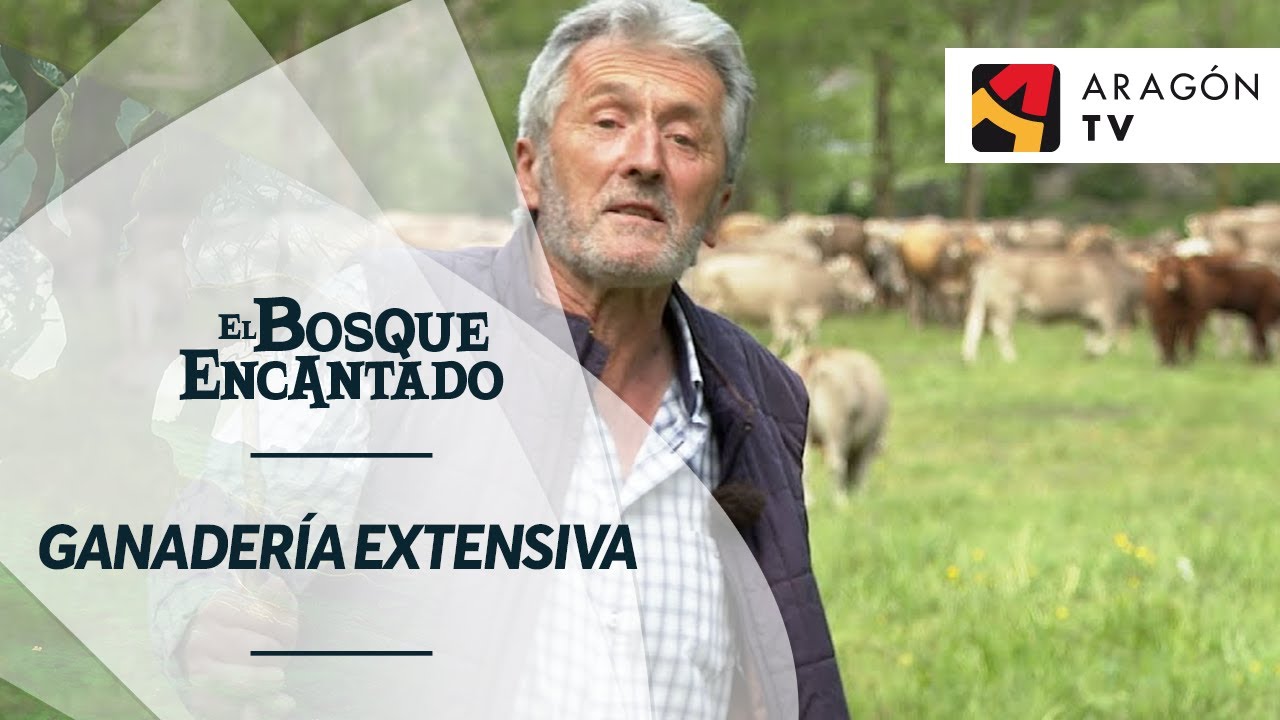 Ganadería extensiva | VALLE DE ESTÓS