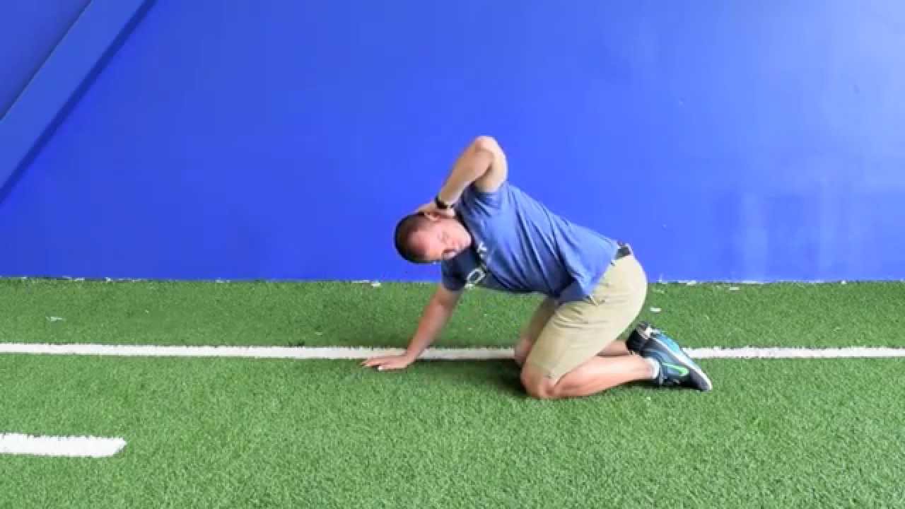 Quadruped Thoracic Spine Rotation