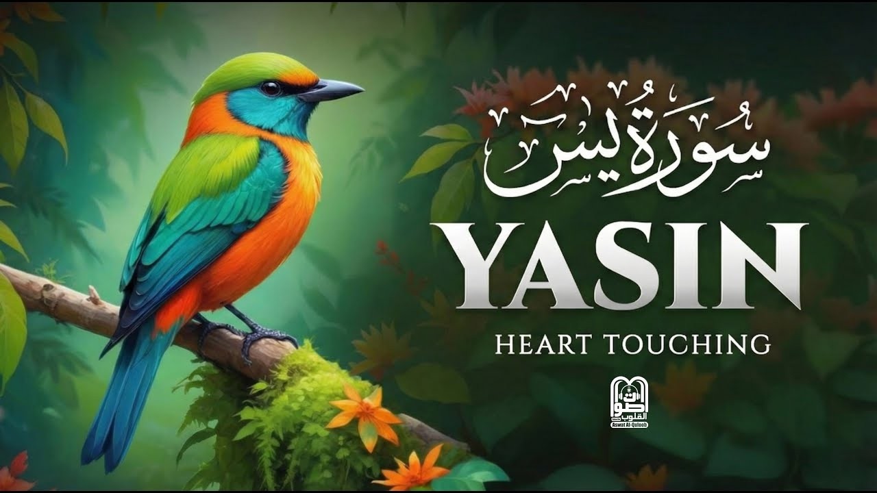 Surah Yaseen - سورة یس The Heart of Quran | Beautiful Recitation for Peace & Healing 10 Hours