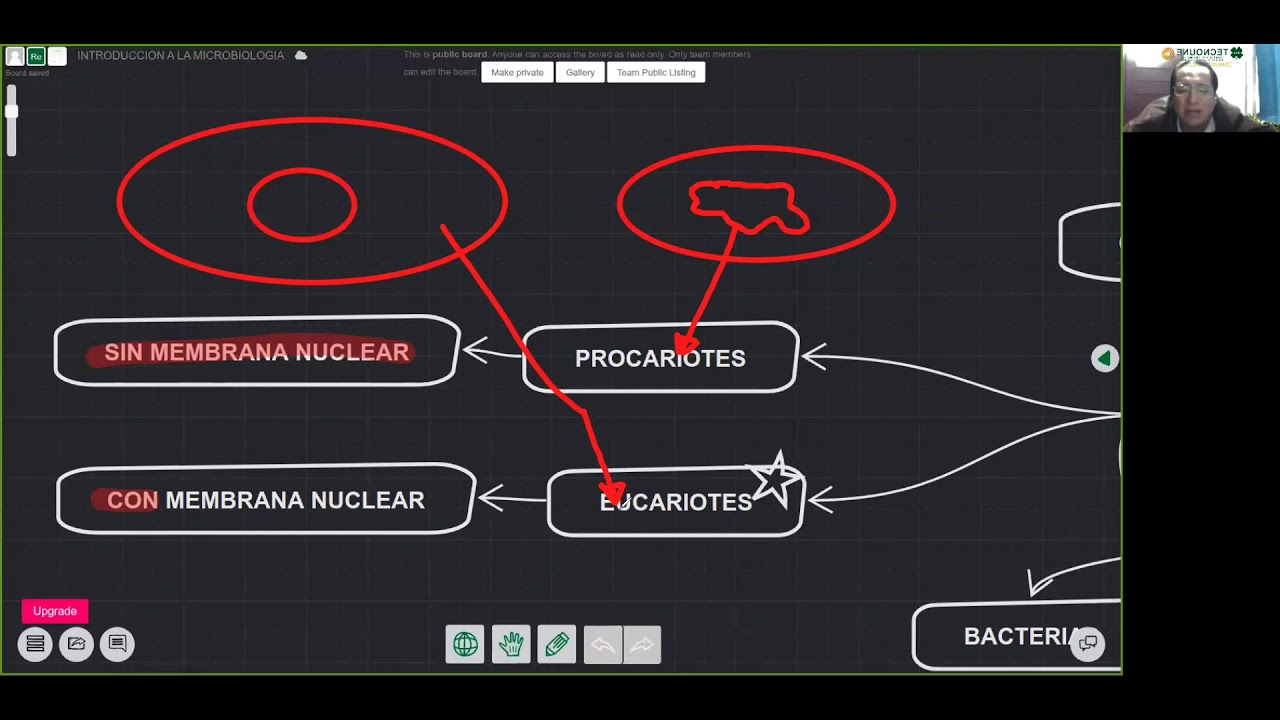 CLASE 1 MICROBIOLOGIA Y PARASITOLOGIA