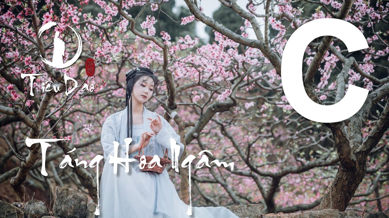 Cảm âm C4 Táng Hoa Ngâm | Nhạc phim Hồng Lâu Mộng | Tiêu Dao