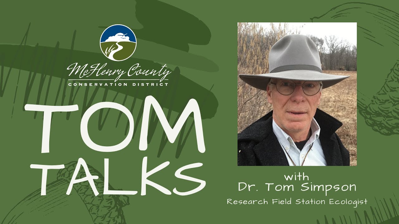 Tom Talks: It's All In the (Plant) Family