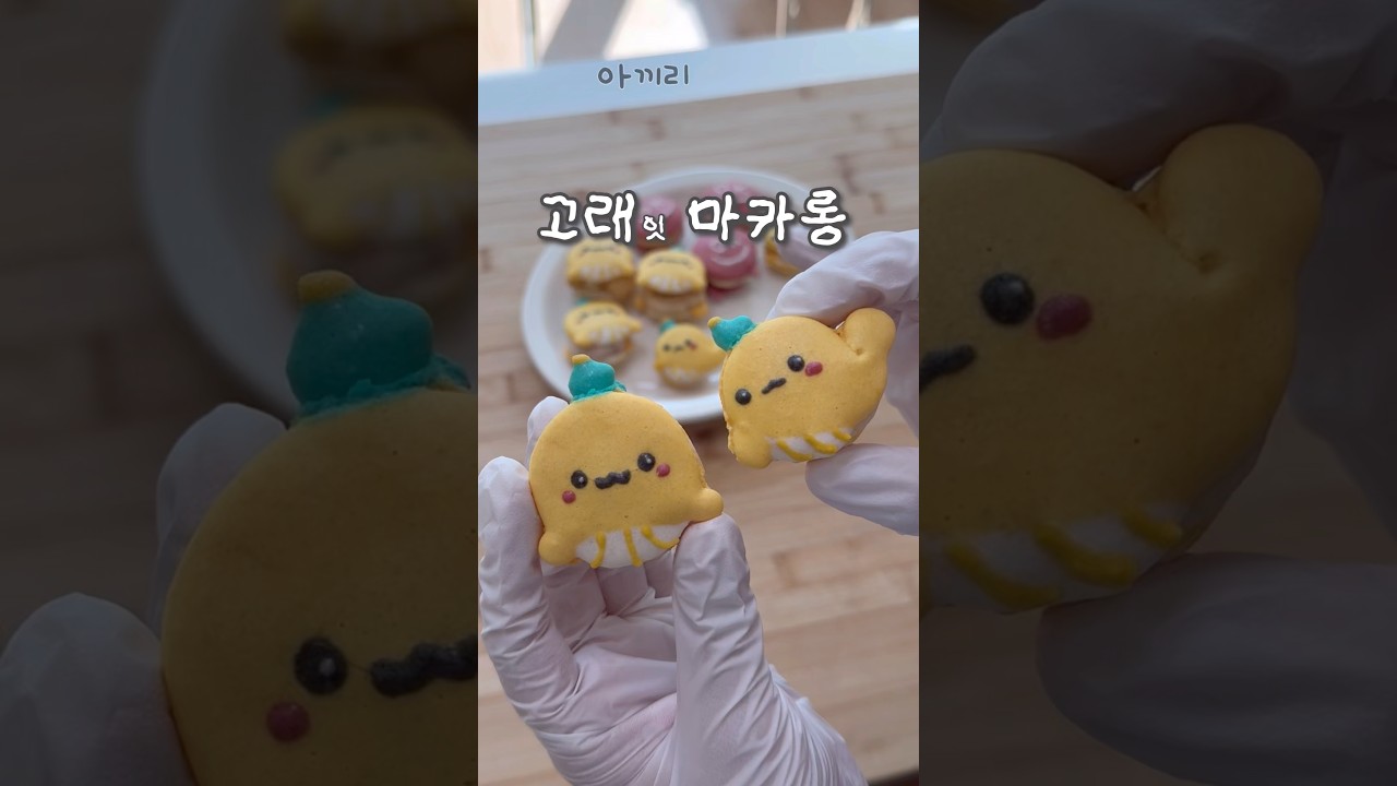 가성비로 만든 고래 마카롱