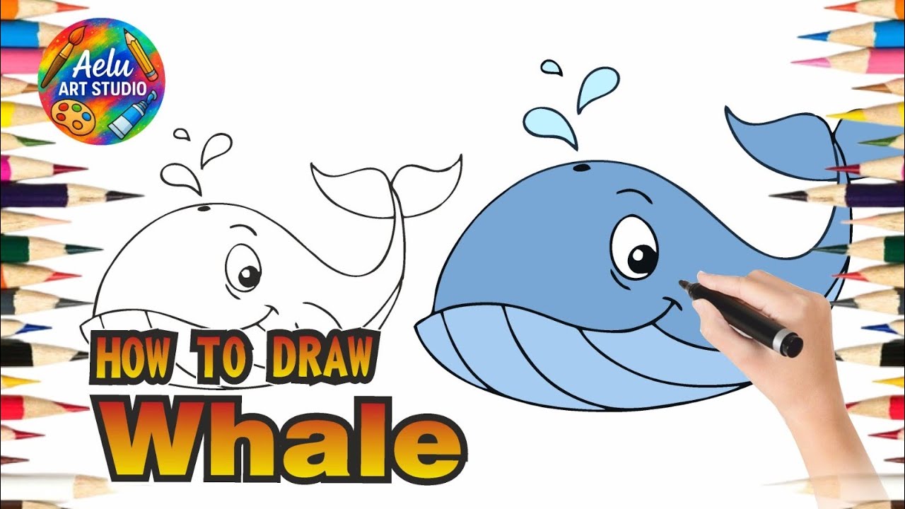 How To Draw a Whale 🐳 | Easy Step by Step Drawing for Kids & Beginners