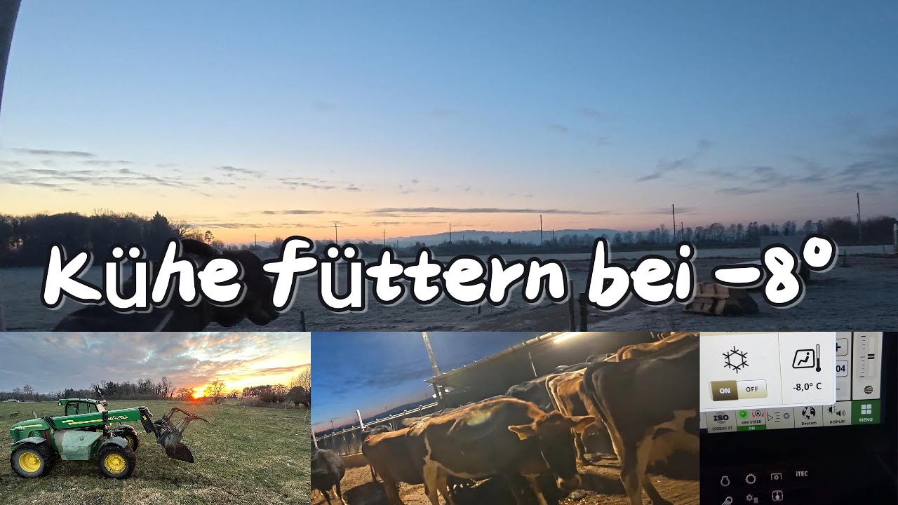 Kühe füttern bei  8° John Deere  I BIO Farm Vlog #34