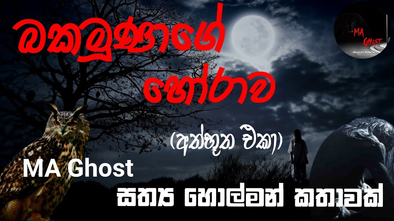 බකමූණාගේ හෝරාව | @MAGhost | සත්‍ය හොල්මන් කතාවක් | holman katha | ghost story 57