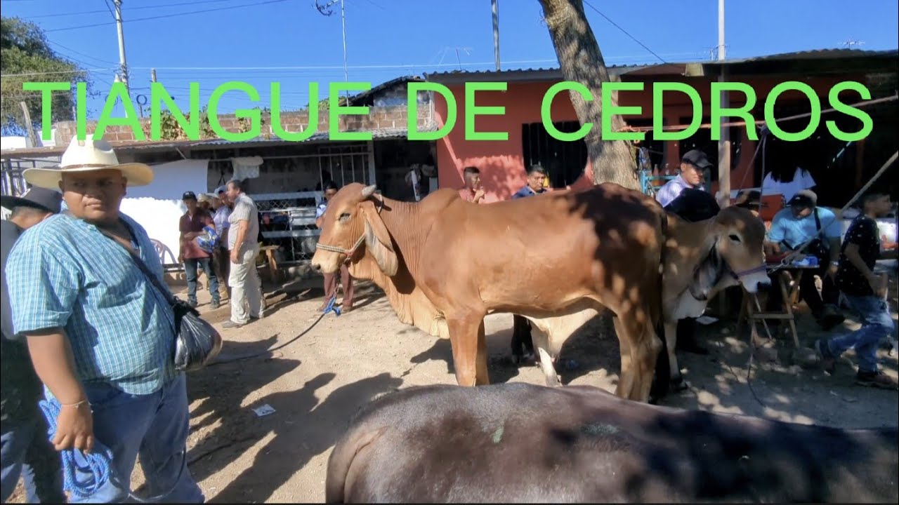 TIANGUE de San Rafael Cedros 24 de diciembre