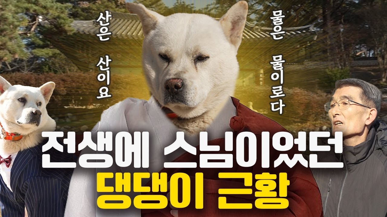 절에서 스님 몰래 고기 먹던 강아지 심돌이 근황 #댕킷리스트