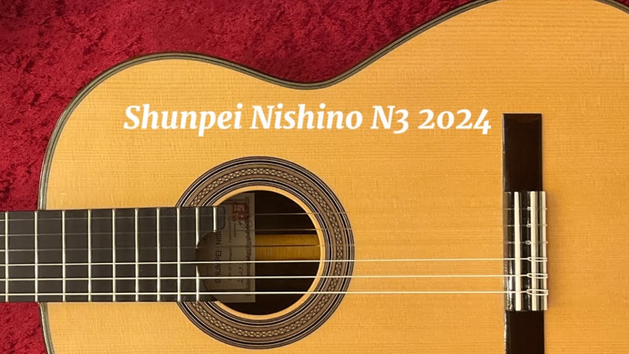 西野春平 Shunpei Nishino N３ 2024年製  アメリア（クリスティアント）