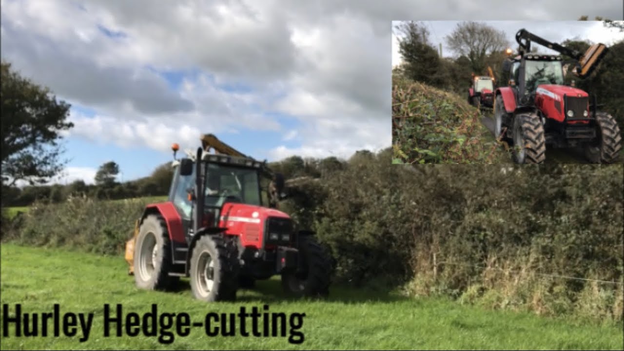 Hurley Hedge cutting Services 2020