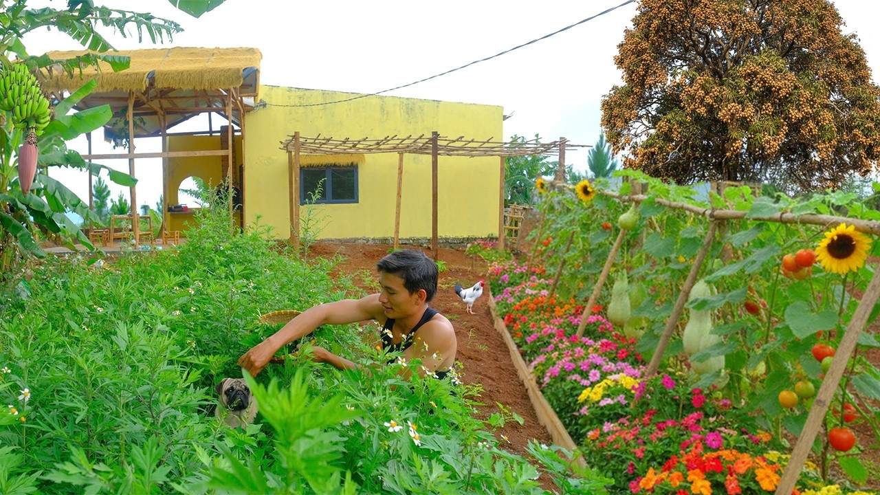 Renovate And Repaint An Abandoned House, Harvest Mugwort To Cook – Officer Quit City To Build A Farm