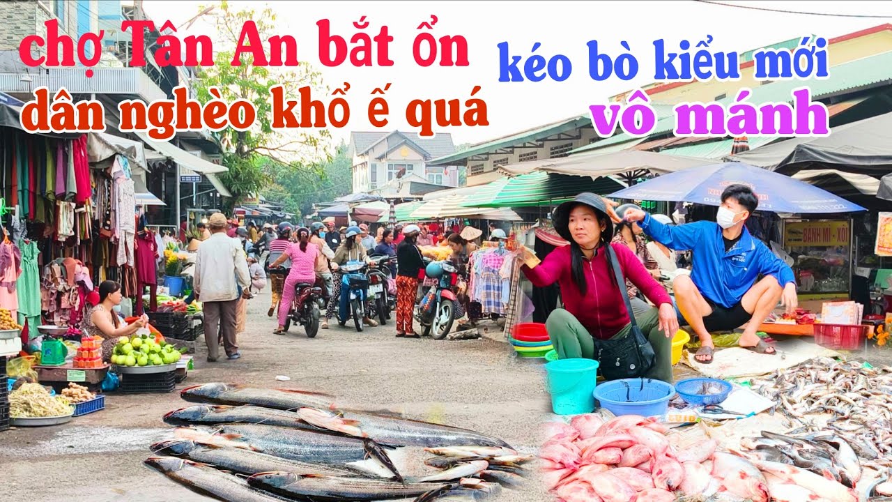QUÁ CĂNG GỒI chợ Tân An bắt ổn dân nghèo khổ ế quá bán chậm kéo nhú bò lên kiểu mới vô mánh cá