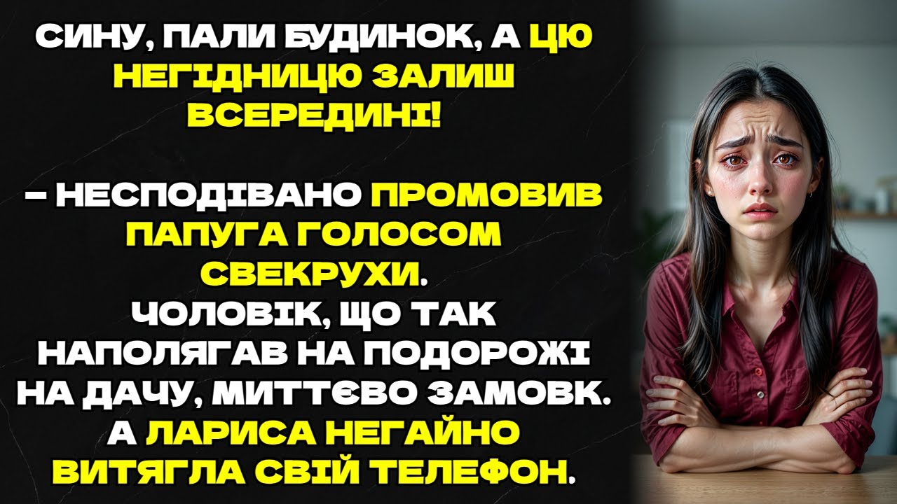 Папуга голосом свекрухи розкрив страшний план чоловіка! Жінка миттєво дістала телефон...