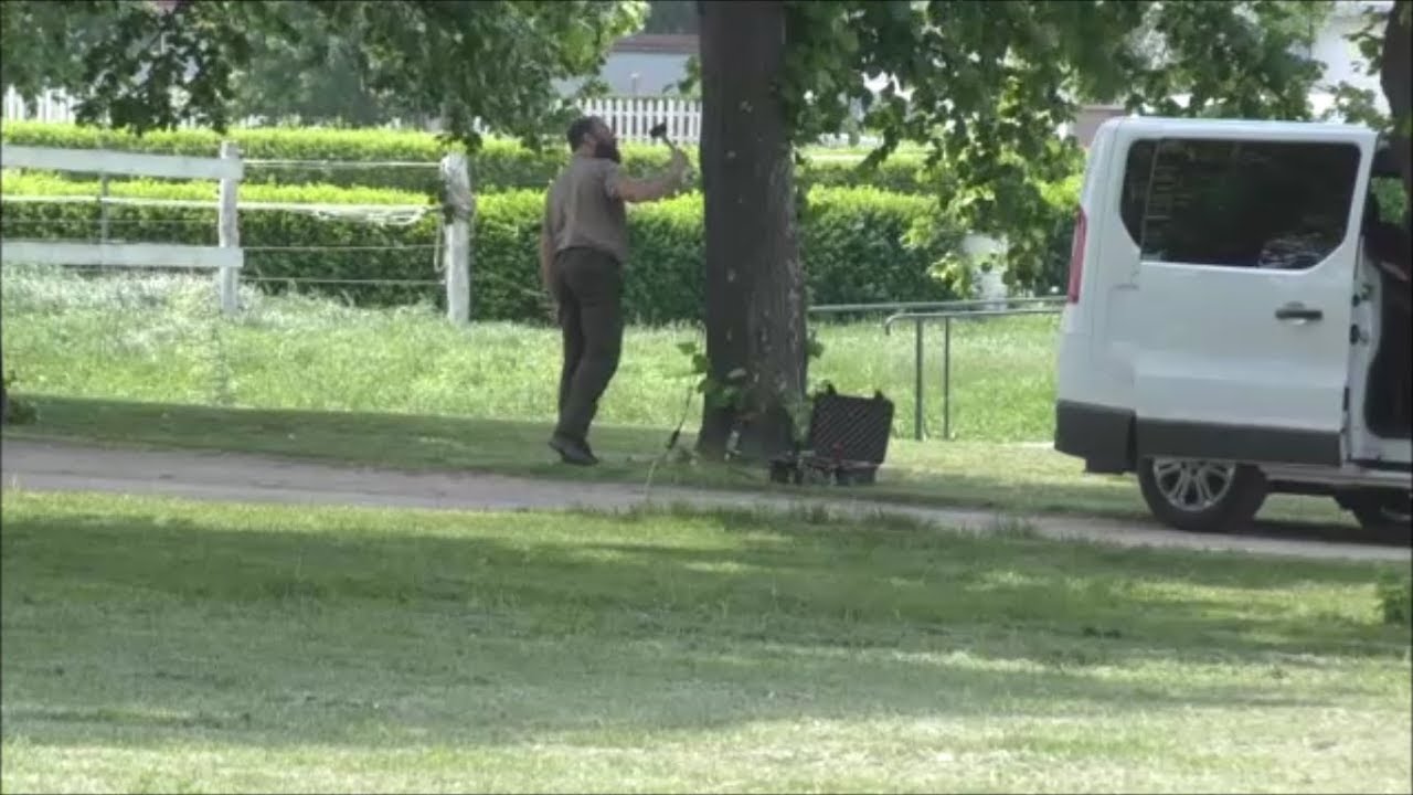 FŰR&Eacute;SZ M&Aacute;NIA: MI IS AZ A FAVIZSG&Aacute;LAT &Eacute;S A FAKOPP MŰSZER?