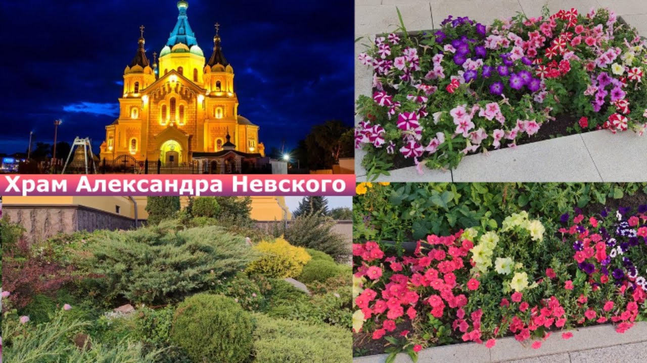 Цветы возле храма. Спели квартетом в кафедральном соборе.