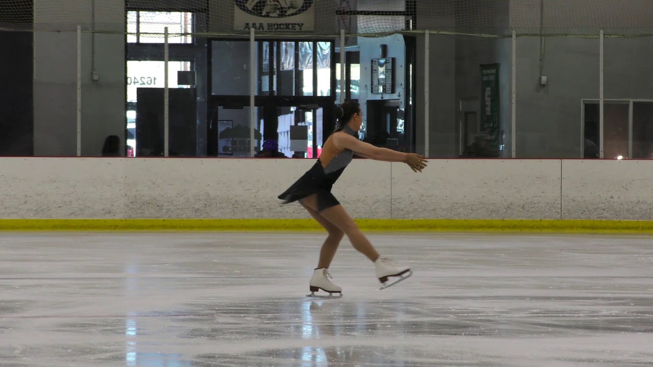2019 Adult Midwestern Sectionals Pre-Bronze Free Skate