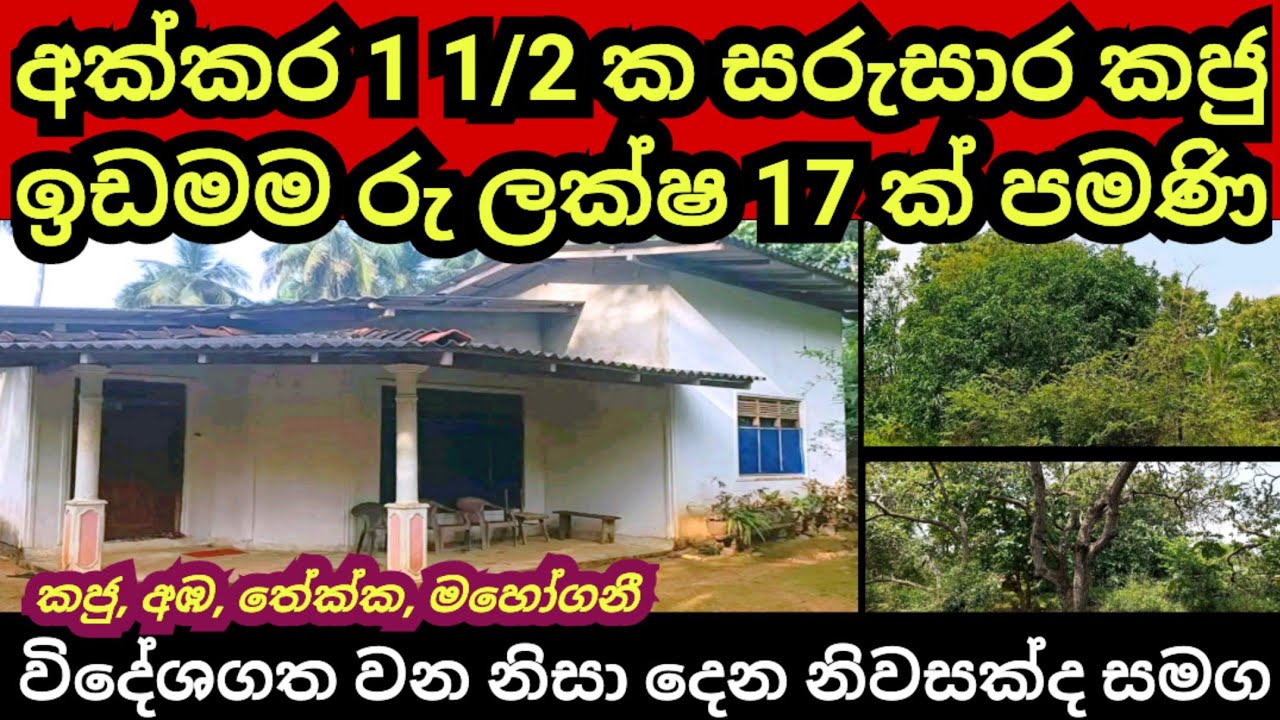 කජු වගාකළ අක්කර 1 1/2 ක ඉඩමම රු ලක්ෂ 17 කට | Aduwata idam | House for sale | Idam sale | Lands