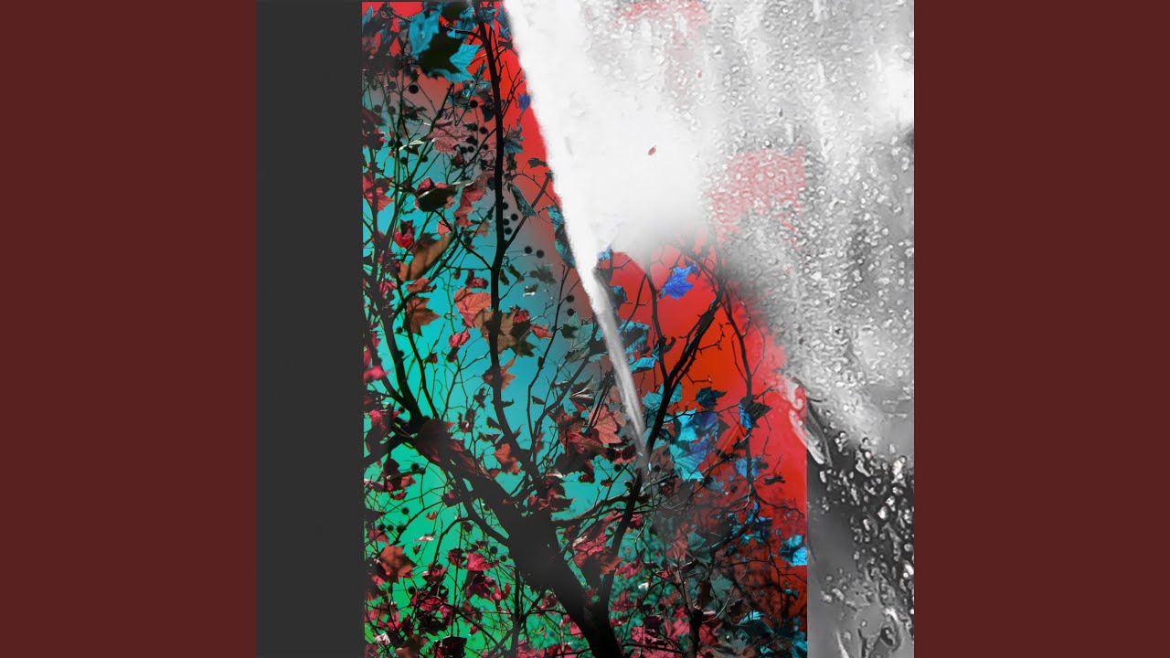 HVN