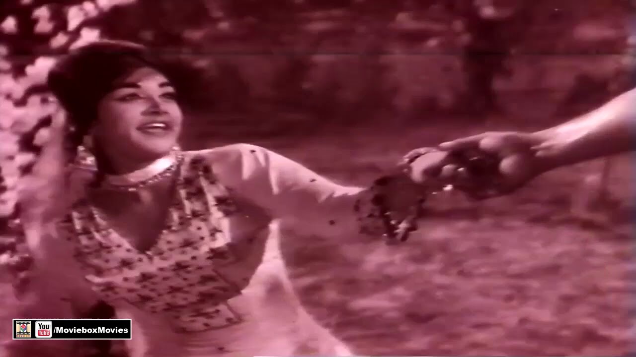 PEHLAN HI DIL ZAKHMI  MERA - MALA - PAKISTANI FILM MAALI