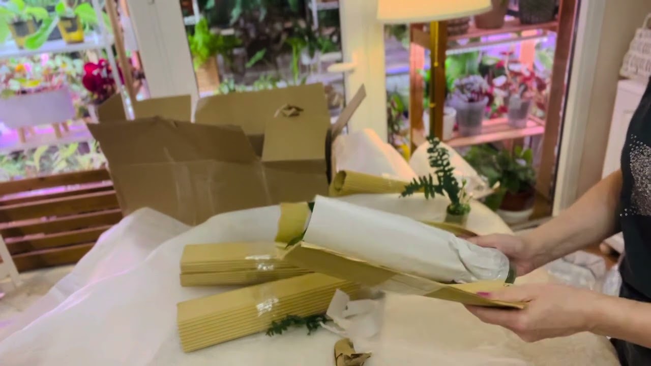 Распаковка растений из Азии🌿
