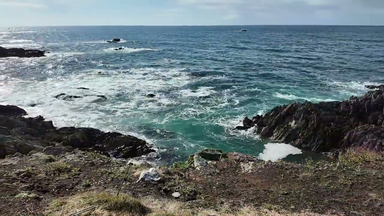 Part 5 of my Mini tour of Cornwall: A nostalgic return to Looe Island