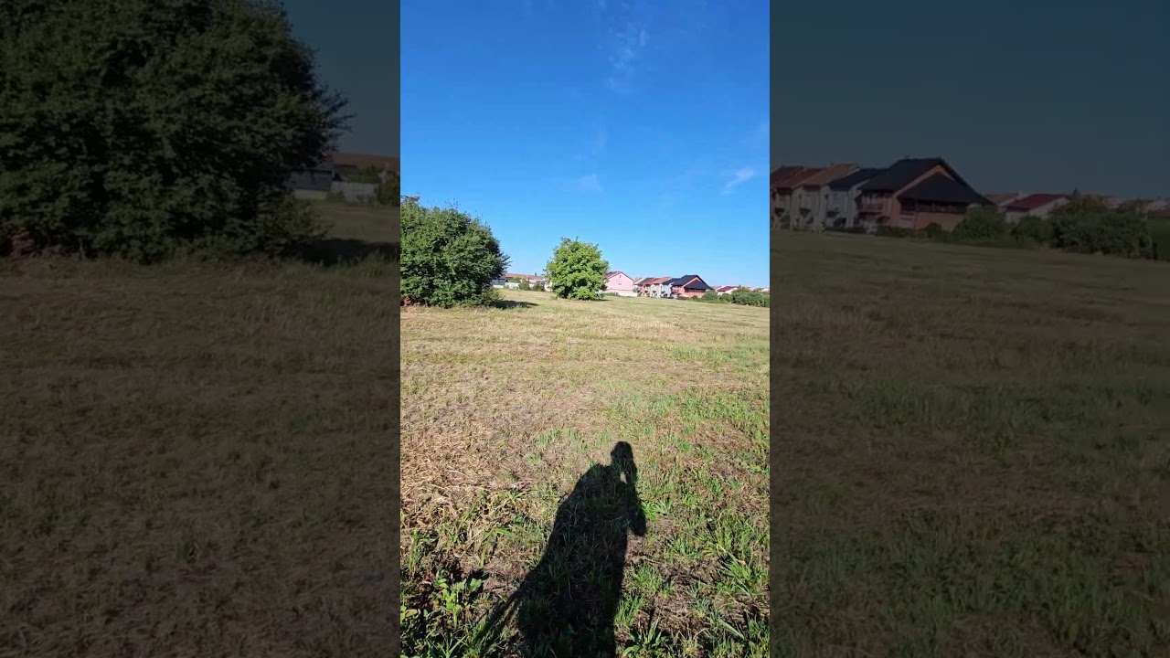 Čepin Gu&scaron;će