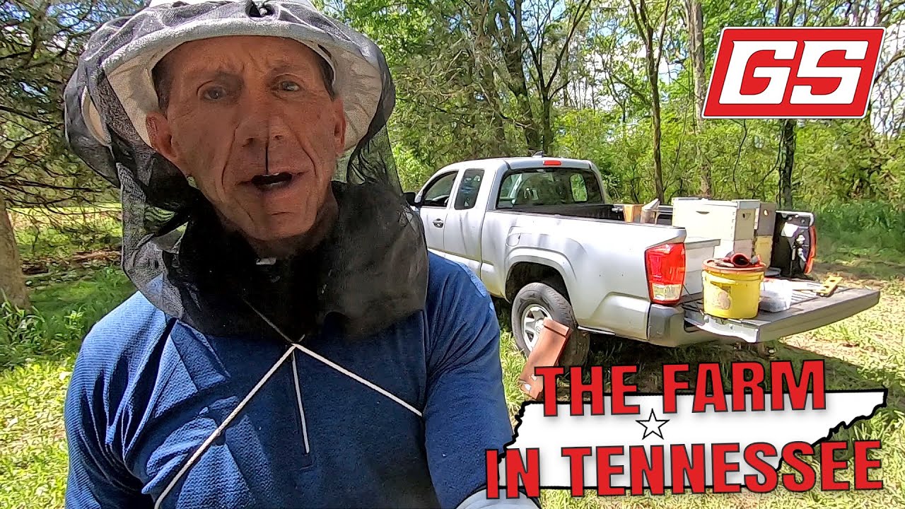Lenny Magill is as busy as a&hellip;