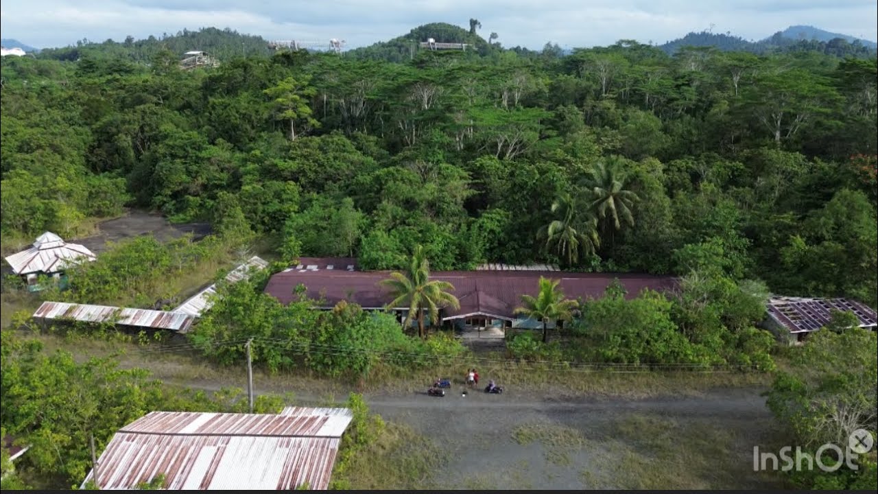 ADA SEKOLAH  DI TENGAH HUTAN KALIMANTAN ‼️ YAYASAN PERGURUAN CIKINI KIANI