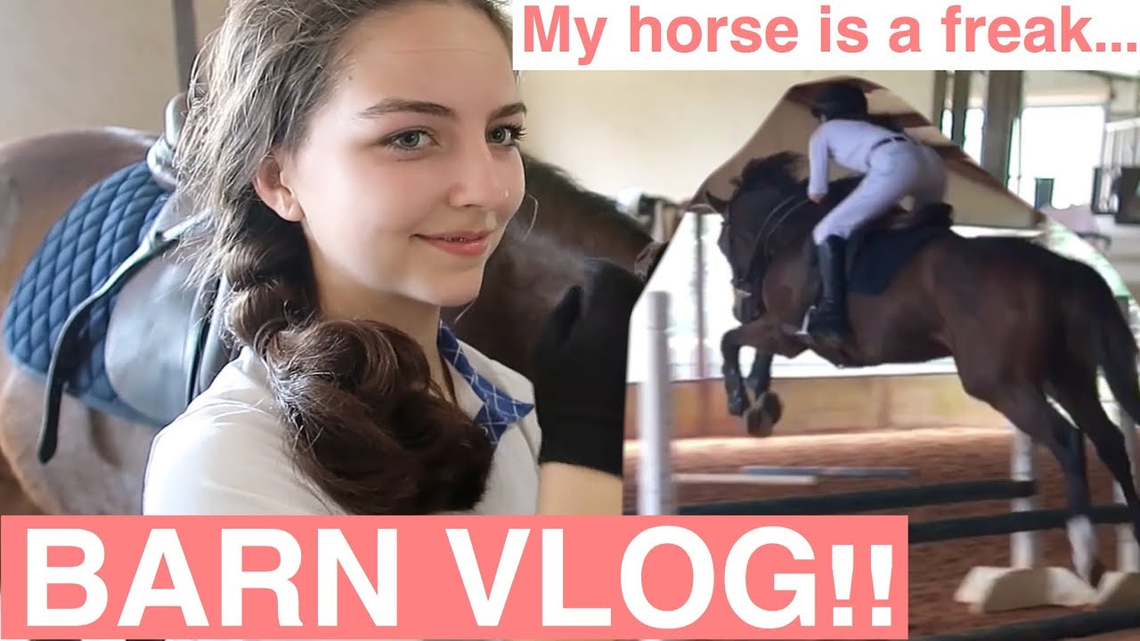 BARN VLOG!! My horse is a FREAK! :O