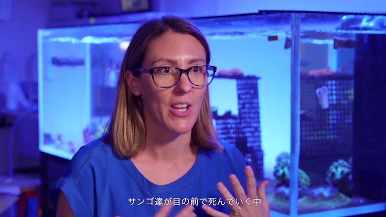 Save the Reef Act Now International Trailer