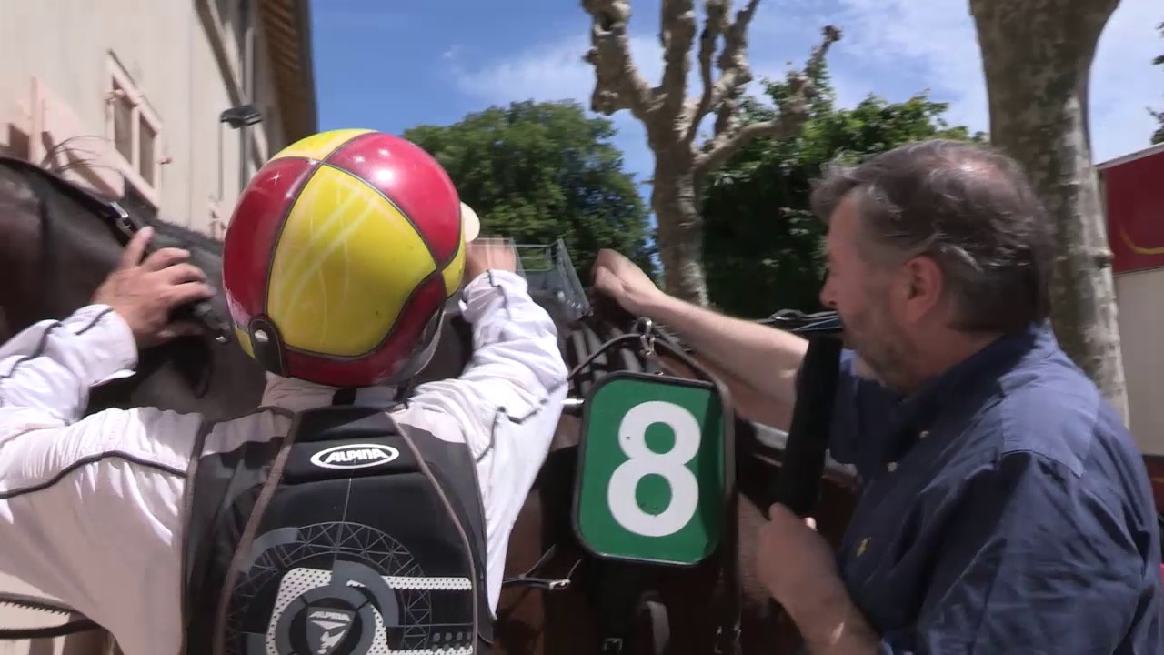 L'équipement des trotteurs