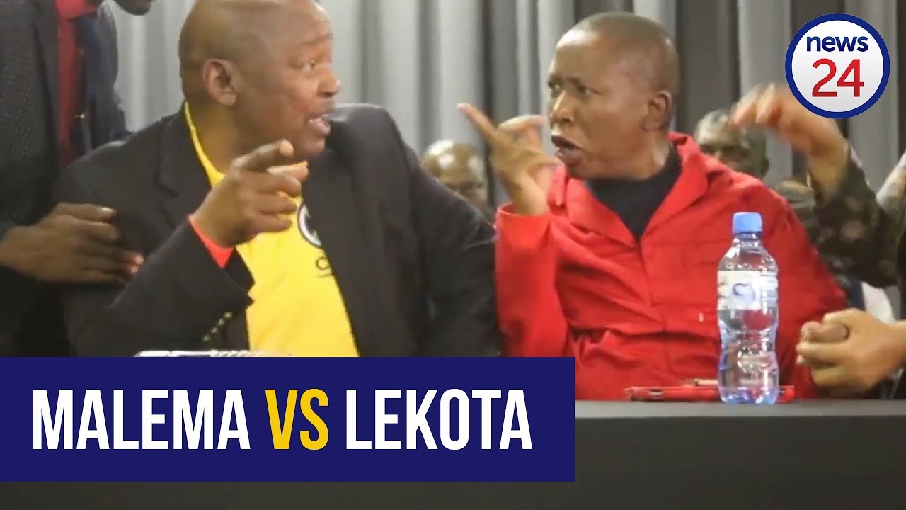 WATCH: Malema and Lekota in heated argument at land hearing