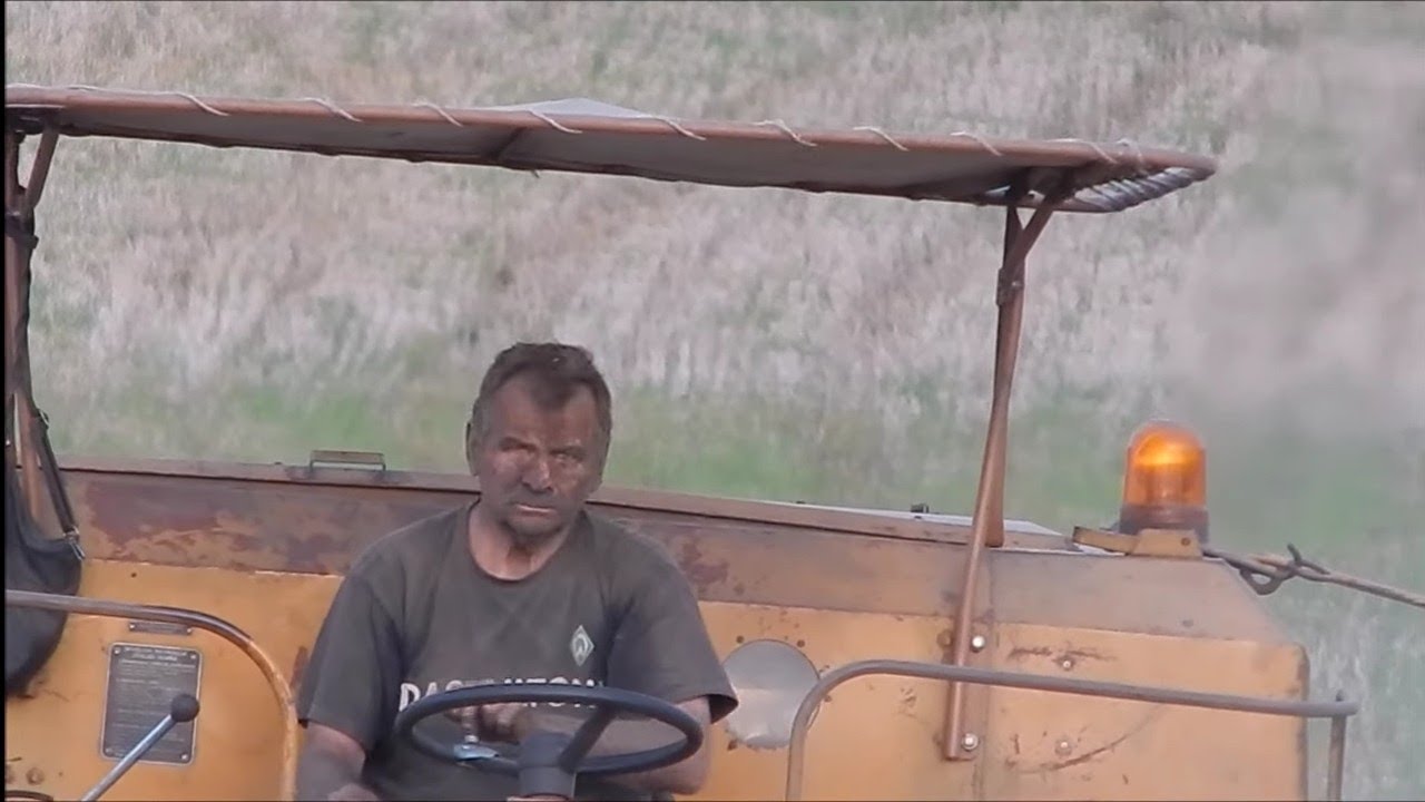 Złote Łany na polskich polach. Majster jak górnik!
