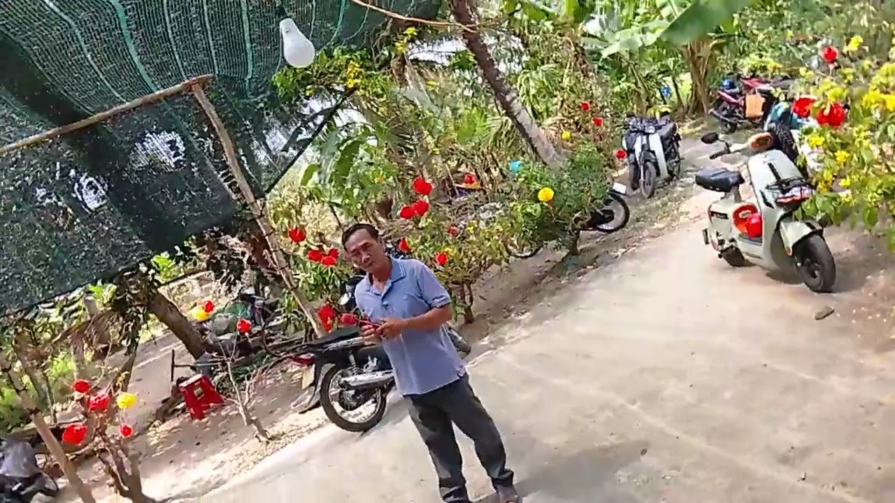 Về đi con Tết rồi