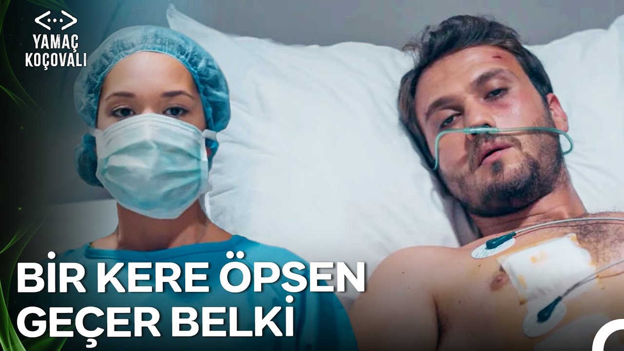 Ya Pes Edersin Ya Da Küllerinden Doğarsın; Seçim Senin