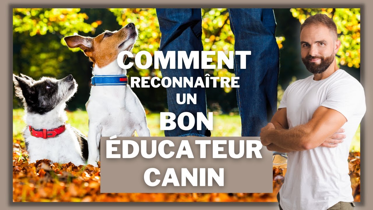 Comment reconna&icirc;tre un bon &eacute;ducateur canin ?