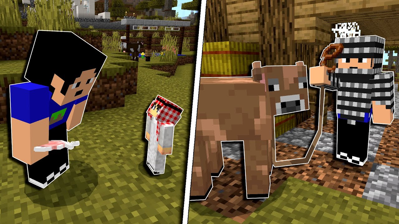 Nyolong Sapi Kurban dan Bagi-Bagi Daging Kurban dengan Addon di MCPE