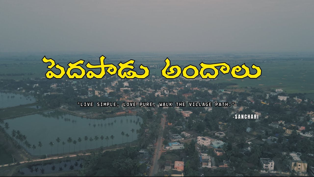 PEDAPADU అందాలు చూద్దాం రండి దాలు చూద్దాం రండి #sancharisnaps #village #sankranti #nature