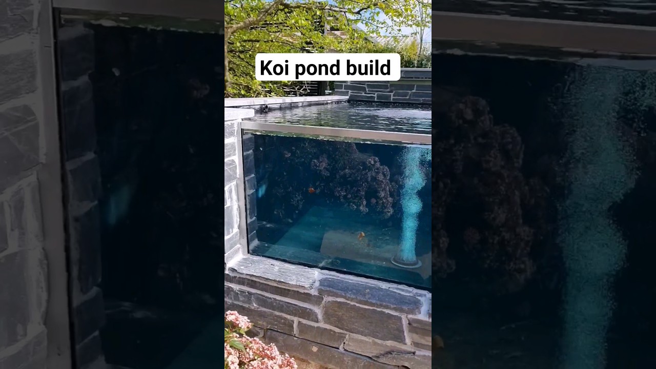 koi pond build with window  