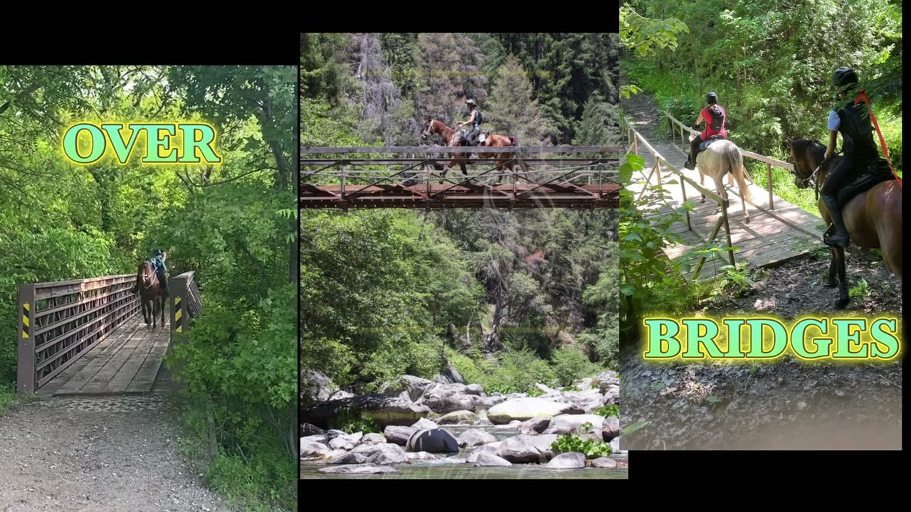 What is ENDURANCE RIDING?  - How you can get started