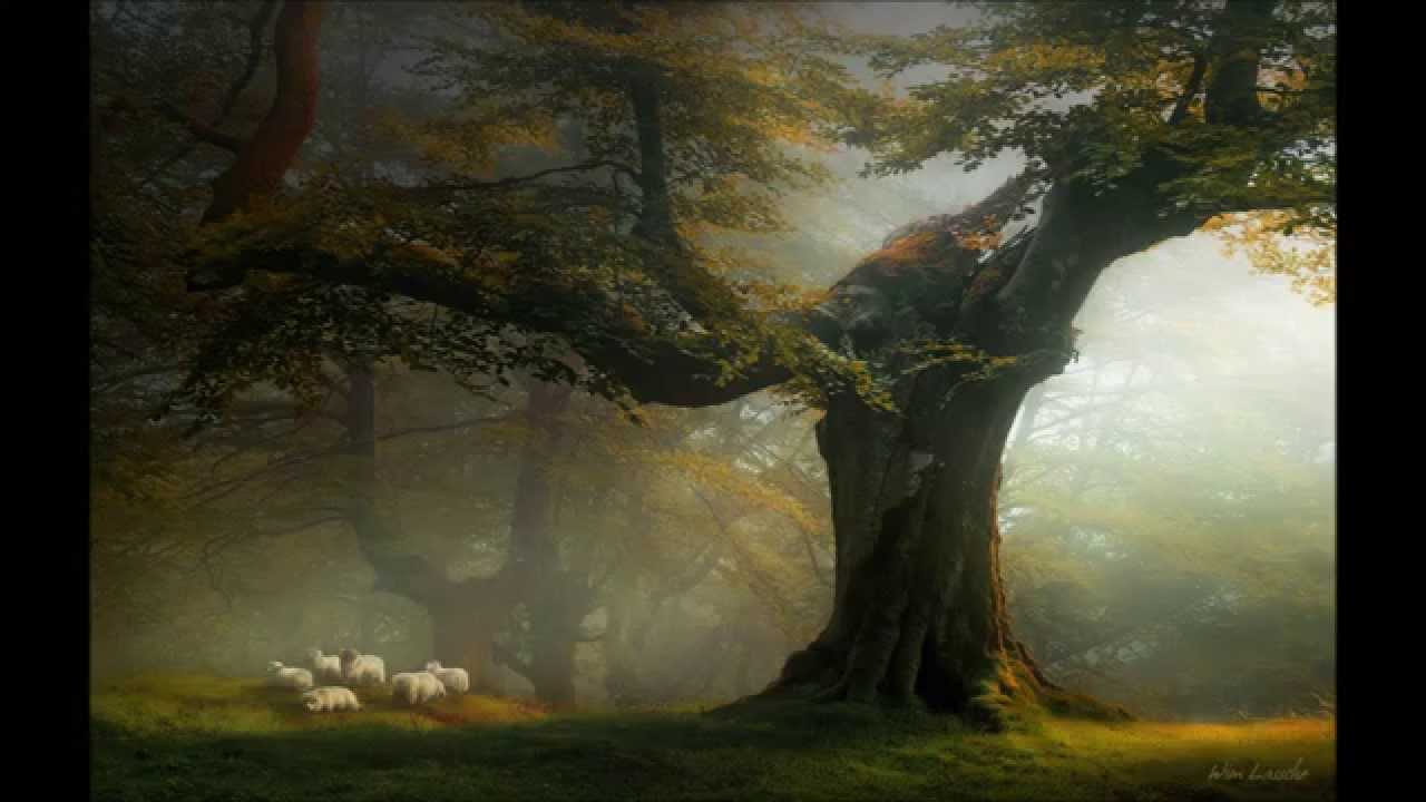 Grieg Ballade G minor Op. 24
