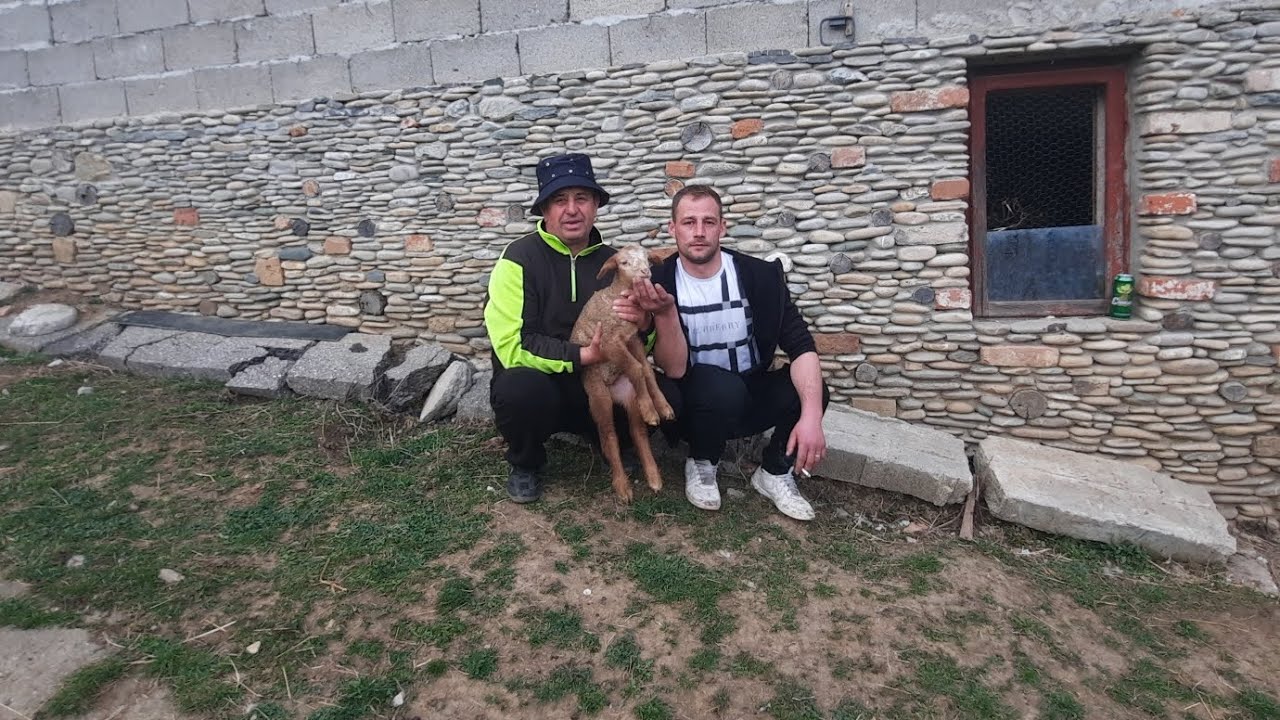 AM DARAMAT SOBA,CU CATERINCA MAXIMA 🤣🤯