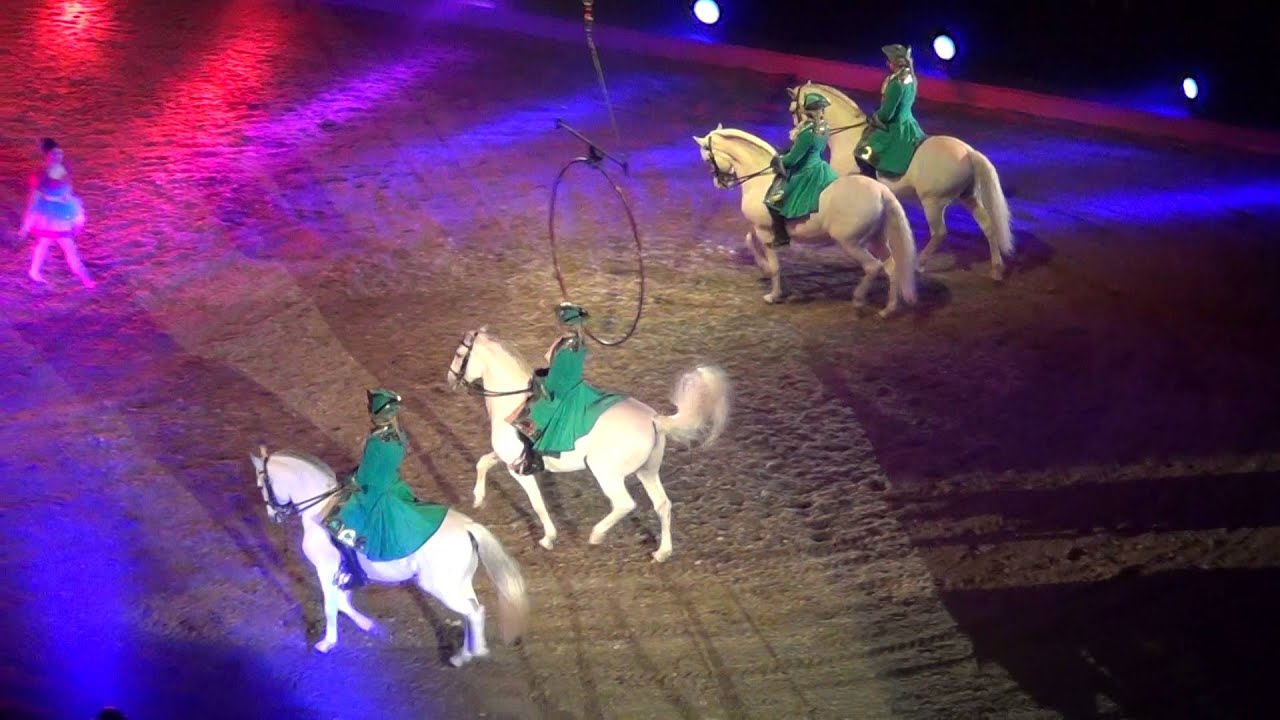 Apassionata 2016 Helsinki Portuguese team of Luis Valen&ccedil;a