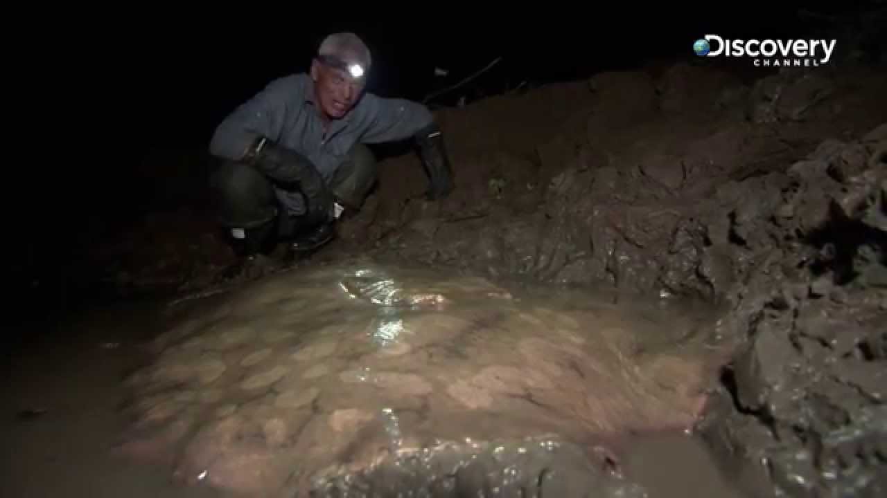 How to Catch a Stingray | Fishing Tips