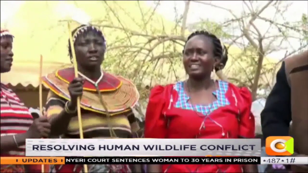 Resolving human wildlife conflict