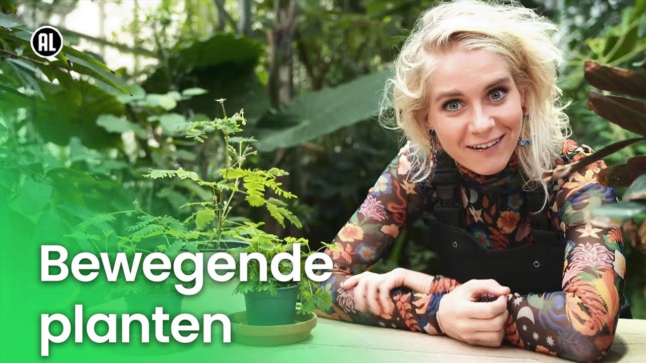 Bewegende planten | Plantastisch
