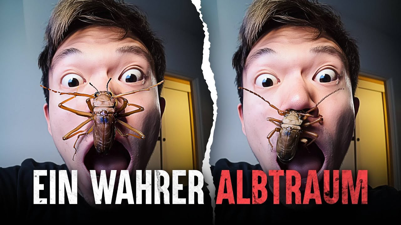 Überleben- Die tödlichsten Insekten Asiens