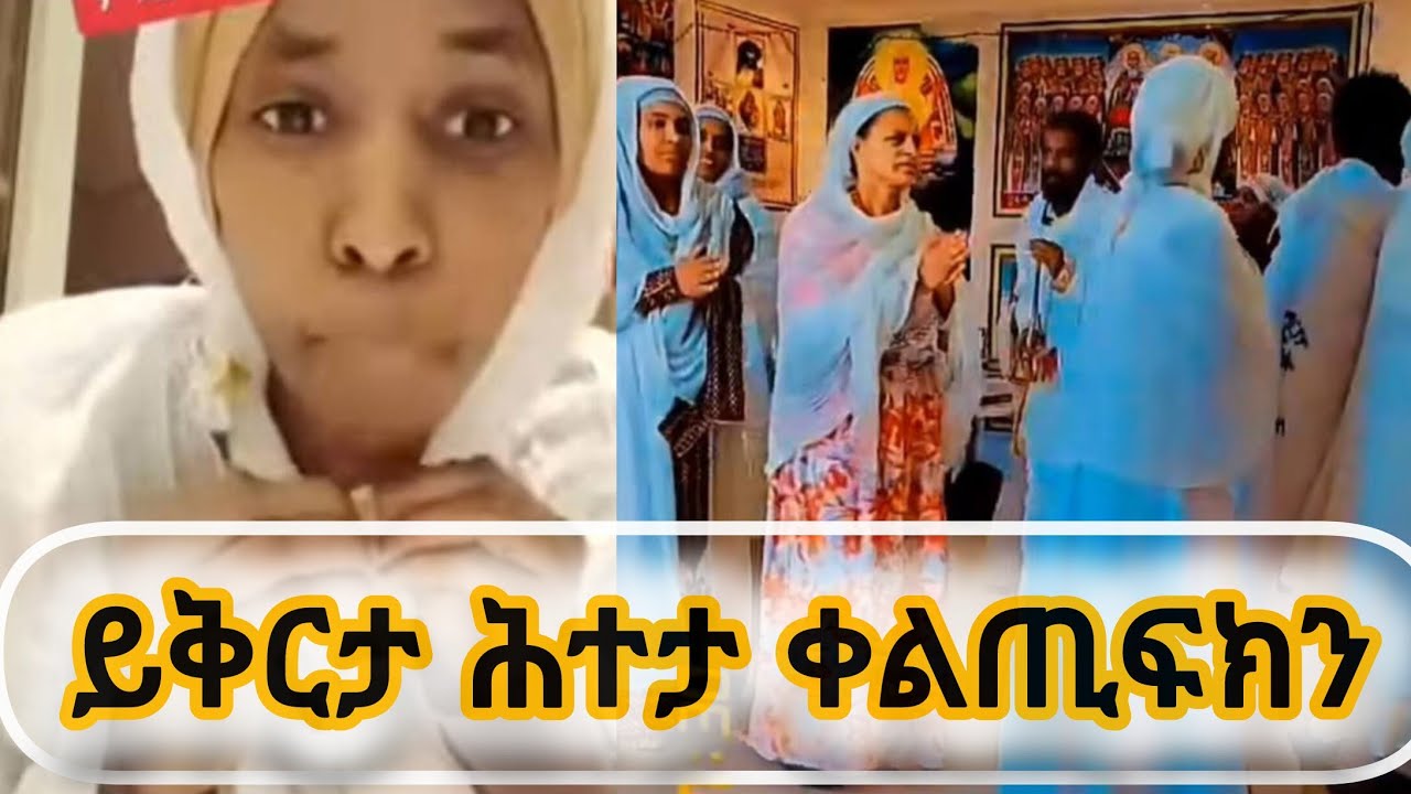 ከማኽን ደፋር ሰብ የለን😌 ቀልጢፍክን ይቅርታ ክትሓታ ኣለክን
