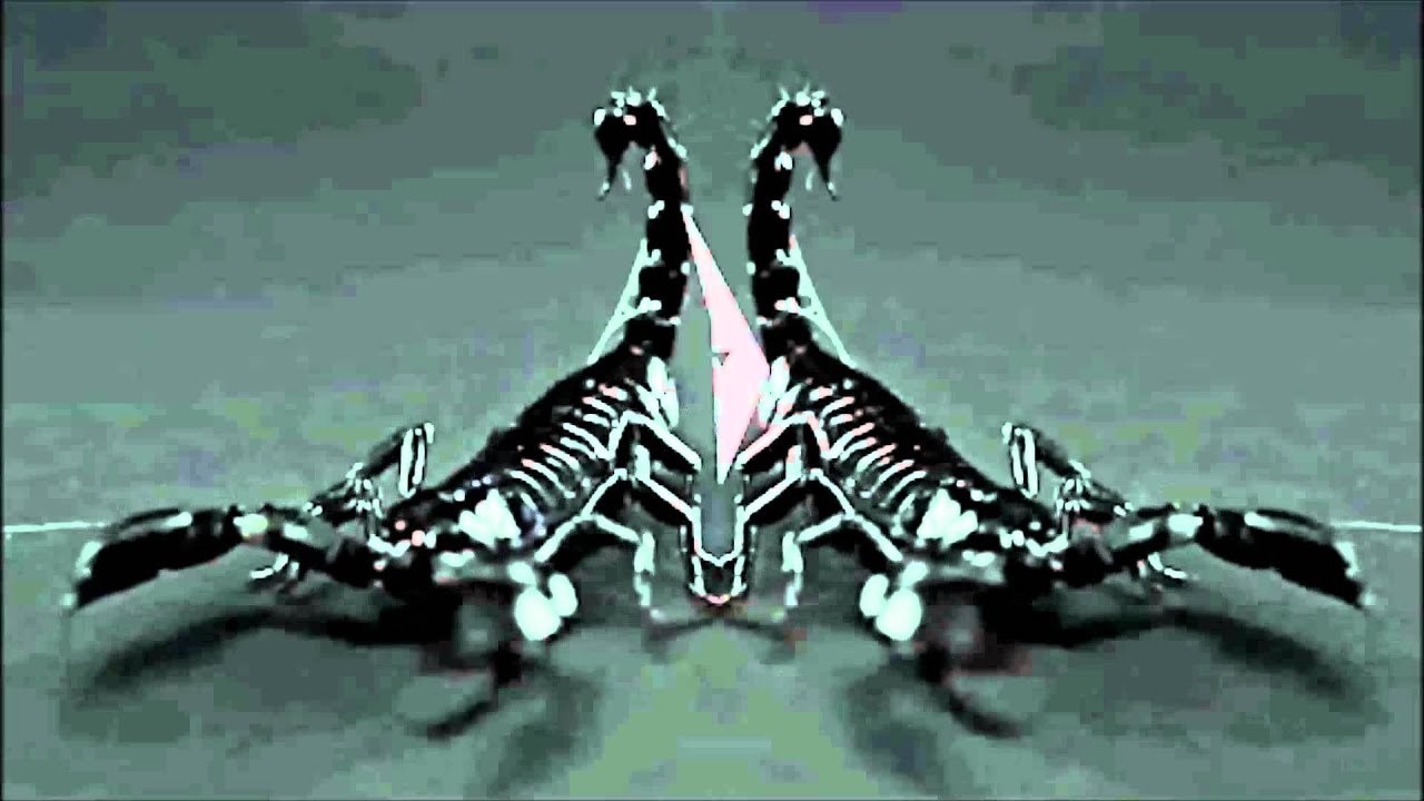 &plusmn; Crossparty - Insect &plusmn;