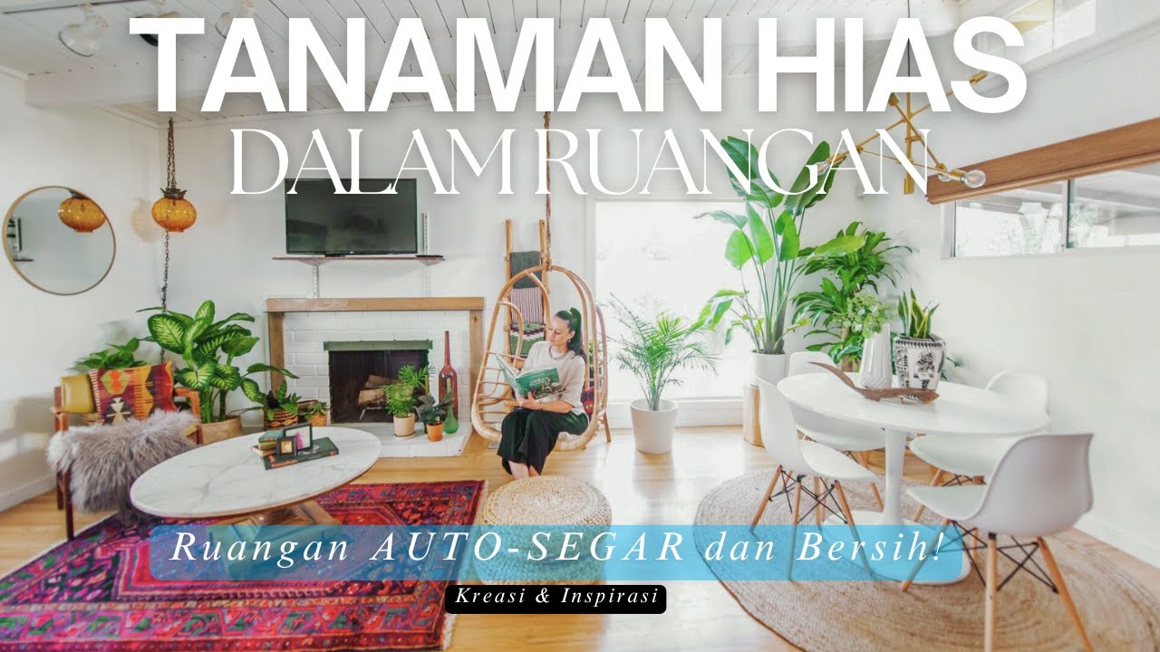 RUMAH AUTO-SEGAR! 13 JENIS TANAMAN HIAS Indoor Dalam RUANGAN Terbaik untuk Pembersih Udara AESTHETIC